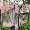 고양이 캐리어, 상자 집 디자이너 애완 동물 배낭 캐리어 접이식 확장 가방 작은 개 고양이 야외 여행을 들고 고양이