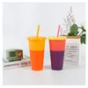 5 colors of plastic cup Variable colors cup 24oz Reusable plastic cups Color changing Plastic cup with cover and straw Color changing