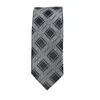 Mäns Casual Slim Slips Classic Polyester Woven Party Slips Mode Plaid Dots Man Neck Tie För Bröllop Business Male Slips