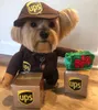 Сумка для одежды для собак Courier Cosplay Hat Cat Summent Pet Pet People Роль Playn Express Пакет Пиратский костюм Хэллоуин Одежда