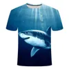 shark fitness clothes