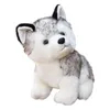 20-30cm mignon husky chien peluche jouet loup doux animal en peluche kawaii enfants poupée pelucheux cadeau d'anniversaire enfant garçon WJ131 210728