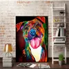 Colourful abstract dog animal print canvas painting animal posters and prints wall pictures for room decoracion frameless