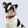 Hondenkraag echt leren huisdier voor duurzaam verstelbare S S S Sall Medium S Groen Rood Bruine Y200515