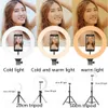 Justerbara vikbara selfie monopoder bärbara stativ för Beauty Video Live Broadcast Streaming med 10 eller 6 tum LED Selfies Light Ring