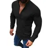 Sexy Men Long Sleeves Blouse Summer Fashion Casual Cool Clothing Slim Fit Tees Tops Male Breathable Linen Shirt 210708