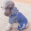 Hund jeans stripe denim husdjur jumpsuit byxor hund kläder fyra fot hund kläder denim jeans chihuahua yorkie valp kläder 211013