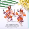 BOHO Renkli Kristal Çiçek Dangle Küpe Kadınlar Için Trendy Zarif Çiçek şeklindeki Cam Boncuk Damla Kolye Küpe Bijoux