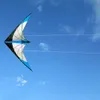 Diversão ao ar livre esportes kitesurf novo 120cm linha dupla stunt pipas atacado cor aleatória parafoil bom voar