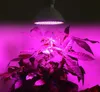 200 Led Grow Light Lampadina 360 Portalampada flessibile per lampada per piante Flower Vegetable Green Foreghouse Greenhouse Hydroponics