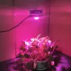 Square Cob Lead Grow Lights Control Full Spectrum Led Plant Growth Lamp inomhus Vegetabilisk köttig blommor Hydroponic Odling Supp4571475