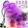 Planters & Pots LED Grow Light 5V USB Phytolamp For Plants Full Spectrum Dimmable Phyto Lamp Indoor Vegetable Flowers Tent Box Fitolamp