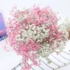 Natural Dried Flowers Gypsophila Bouquets DIY Easter Wreath Pography Prop Home Table Decoration Gift Wedding Flower Wholesale