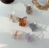 6 Couleurs Mini Transparent Papillon Cheveux Griffe Crabe Clips Chapeaux Barrettes pour Femmes Filles Mode Cheveux Accessoires