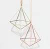 Hanging Air Plant Holder Modern Geometric Planter Container Air-Plant Rack Fioriere Vasi Decorazione da parete a cinque lati SN2884