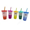 24oz Color Changing Cup Magic Plastic Drinking Tumblers with Lid and Straw Reusable Clear Colors Cold Cup Summer Beer Mugs DHP30 50pcs