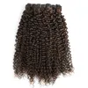 Jerry Curly 4# Color Brazilian Human Hair Extensions Double Surl Purl Products Indian Peruvian 10-24inch Yirubeauty