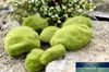 Kunst und Kunsthandwerk im Großhandel – 3 Stück natürliches grünes künstliches Moos, dekorative Mikrolandschaft, Heimdekoration, Bonsai, saftige Zwerge, Miniatur1