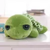 jolie peluche de tortue