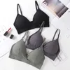 triangle cup bras