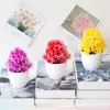 装飾的な花の花輪盆栽草のシャワーの部屋の装飾寝室メゾンの装飾植物のインテリアのプラスチック製の花人工植物