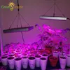 植物のための植物のためのフルスペクトルIR紫外線LED成長している植物灯ハーブの成長の開花屋内成長テント水耕キット