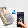 Wireless App Phone Remote Control Electronic Invisible Home Security Smart Door Lock vs Wafu 201013