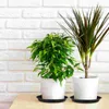 Other Garden Supplies Happyyami 10Pcs Plant Saucer Drip Trays Round Pot Saucers Flower Tray For Indoor Outdoor Garde