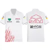 2023 F1 T-Shirt Formel 1 Polo-Shirts Sommer lässiger Revers Lose Kurzärmelanzug Team Uniform Streetwear Männer Frauen T-Shir2660