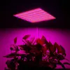 2000W 2009LEDS LED 성장 램프 전체 스펙트럼 LED 식물 성장 램프 실내 조명 성장 가벼운 식물 수경 시스템 박스 194H
