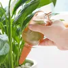 Automatisch watergevende apparaat Leuke vogelvorm DRIPPER WATER SEPAGE EQUIPMENTEN HOUSEPLANT SELD-DRIP IRIRIGATIE SYSTEEM Geschikt voor hydraterende bodem