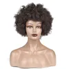 Synthetic Wigs AIDAIYA Afro Kinky Curly Wig Short For African American Women Female Hairstyle Fluffy Realistic