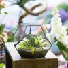 NCYP Modern Glass Terrarium Flower Pot Gold Geometric Bonsai Pots Plant Planter Desktop Display Pot Y200709