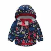 Liligirl Ollique Zipper Baby Детская куртка Флис подкладка девочек Куртки Звезды с капюшоном Мальчики Пальто осенью траншеи Детская ветровка H0909