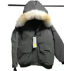 メンズダウンジャケット冬コートパーカーアウター保護風力発電ファッションウォームコートと毛皮を維持します。