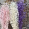 Decorative Flowers & Wreaths 60 G Natural Fresh Breath Dry Preservation Baby Flower DIY Dried Gypsophila Bouquet Home Decoration