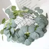 Dekorativa Blommor Kransar DIY Artificial Eucalyptus Vines Faux Silk Silver Dollar Hängande Garland Grönska Festival Party Supplies