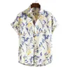Print Men Beach Survey Hawaiian Holiday Мужская рубашка Aloha Негабаритный Корольный Рукав Камизы Цветочный Отдых Кокосовое дерево Camisa 210809