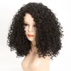 16 pouces Afro crépus bouclés perruques synthétiques Simulation perruque de cheveux humains gris perruques de cheveux humains WL9192-T2/30 #