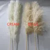 Decorative Flowers & Wreaths 80cm Pampas Grass Extra Large Natural White Dried Bouquet Fluffy For Boho Vintage Style Home Wedding Decor