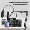 studio microphone recording equipment Microphones Sound Card set for YouTube livestream podcast