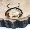 Scorpion Man's bracelet accessories Real yellow and black scorpions high quality jewelry Special gift bracelets on hand