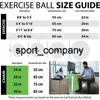 55/65/75/85cm Yoga Ball Anti Burst Esercizio Balance Workout Balls con pompa ad aria per Addome Leg Gym Fitness Trainer