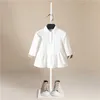 2020 Bebé meninas roupas outono vestido de bebê manga comprida crianças vestidos infantis de algodão abacaxi listras marca vestidos de criança Q0716