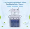 6 In1 H2-O2 Hydro Dermabrasion RF Bio-Lifting Spa Facial Hydro Facial Microdermabrasion Machine Water Dermabrasion Beauty Machine