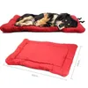 padded dog bed