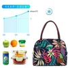 AOSBOS PRINT CANVAS PORTABLE COOLER LUNCH BAG Fashion Thermic Insulated Food Bags Food Picnic Lunch Box Väska För Män Kvinnor Kids 210818