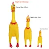 Schreeuwende Chicken Squeeze Sound Toy Pets Hond Speelgoed Product Gesgesneden Decompression Tool Squeak Vent Chickens