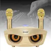 Owl SD306 Familj KTV Trådlös mikrofon Bluetooth-högtalarstöd k Song Duo Chorus