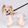 Moda Floral Impreso Cuello Perro Estilo Classic PU Leashes para Pet Teddy Bulldog Schnauzer Dog Relacion